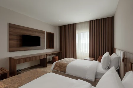 Classic Twin Room
